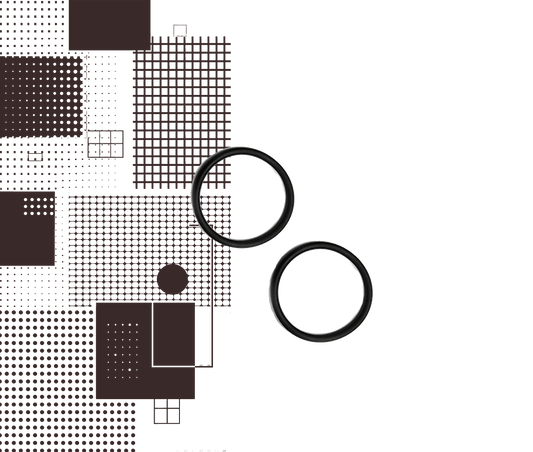 Dal Barista | 2 stk O-Ring Dichtung für E.S.E Brühgruppen 44mm