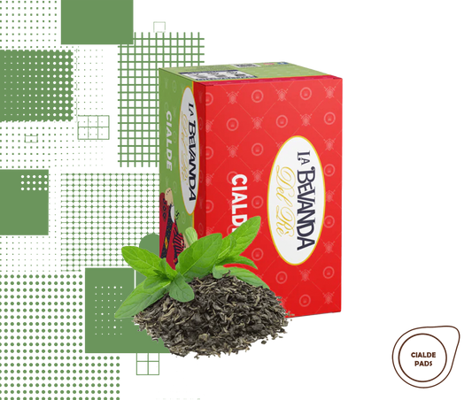 La Bevanda Del Rè | 20 pads Tee Grün